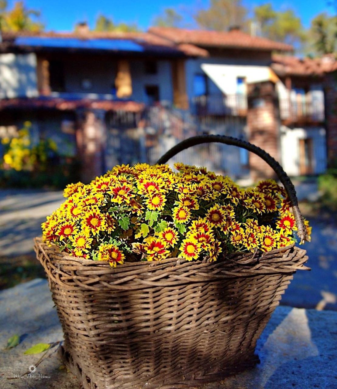 B&B Le Mimose Bricherasio Exterior foto